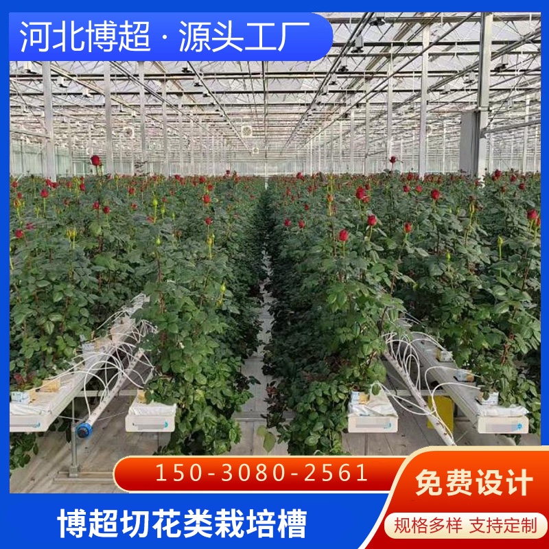 �{���(l��i)�����