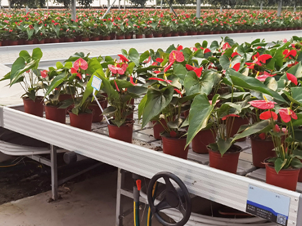 ���ӳ�ϫʽ�ײ��Ƅ�(d��ng)�紲