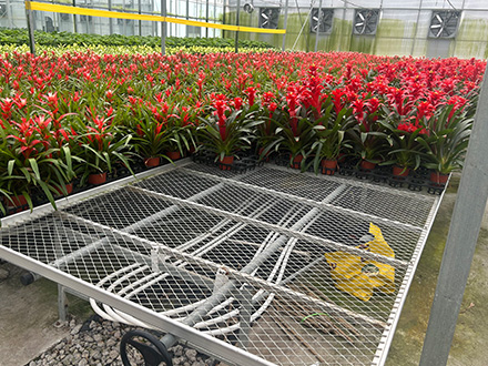 ����\�W(w��ng)Ƭ�Ƅ�(d��ng)�紲