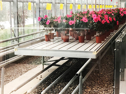 ��ϫ��P(p��n)�����紲